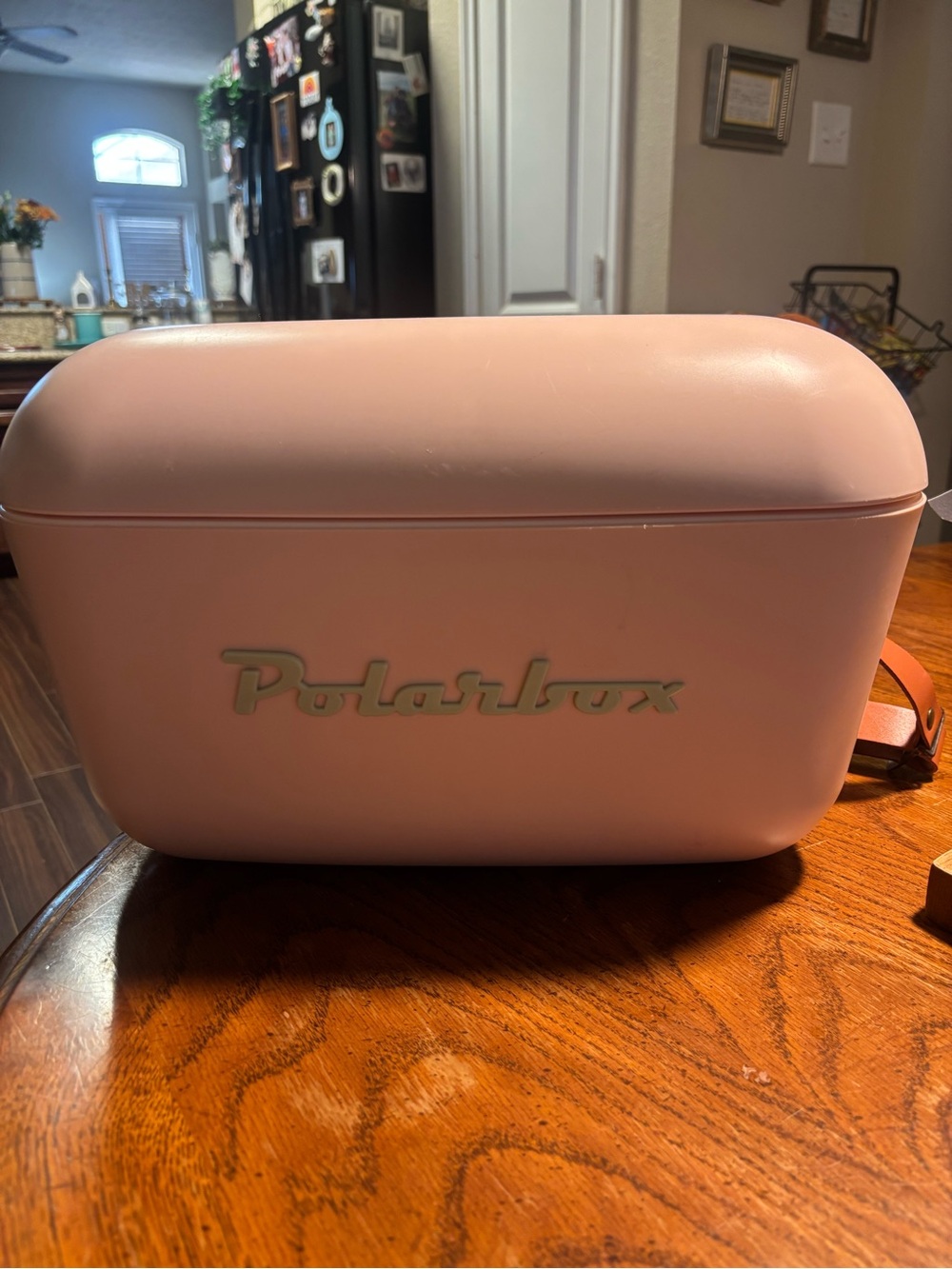 Polarbox Portable Mini Cooler - Light Pink